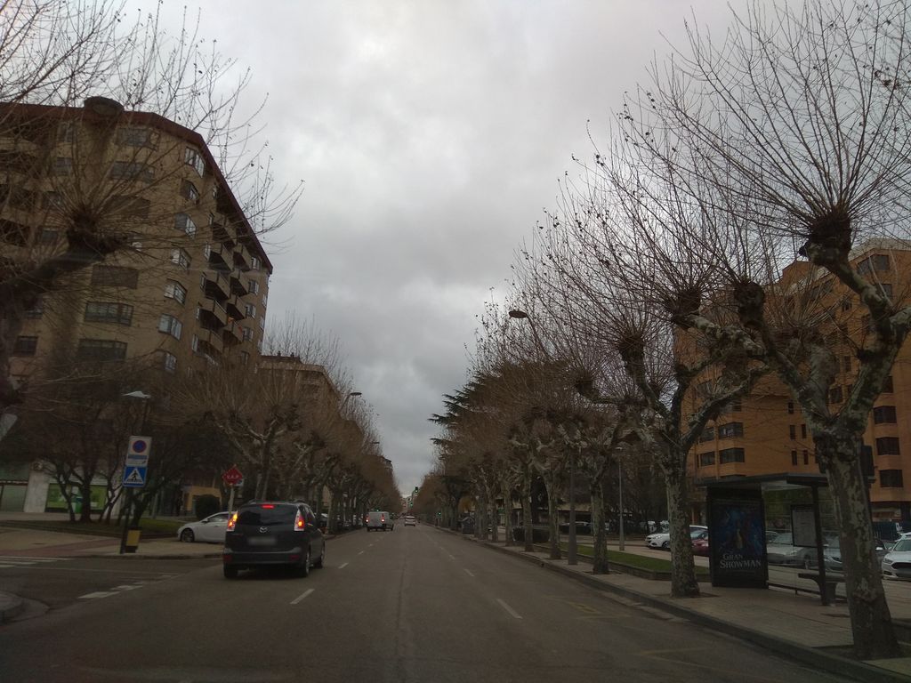 Bocata