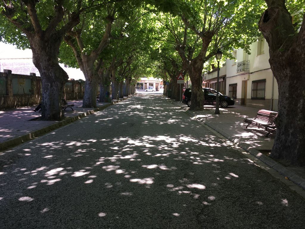 Heladería Vergel