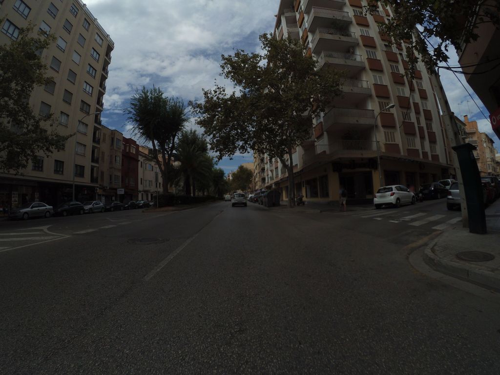 Soledad