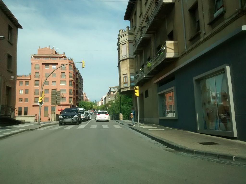 La oveja negra