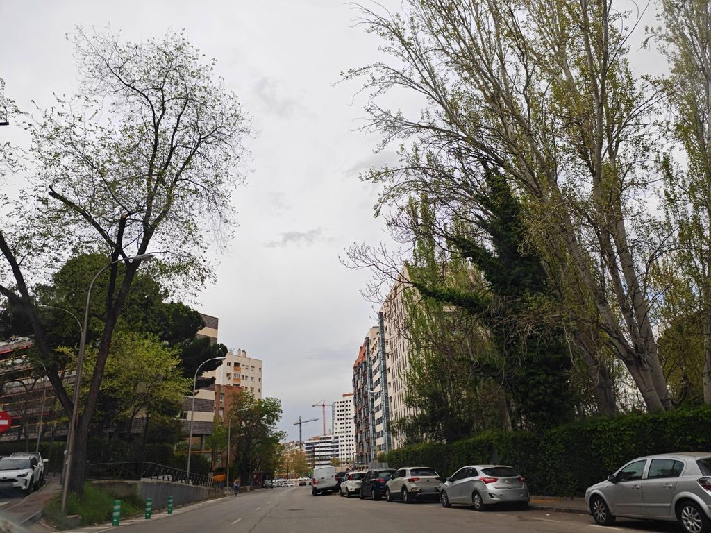 Puerta de Hierro