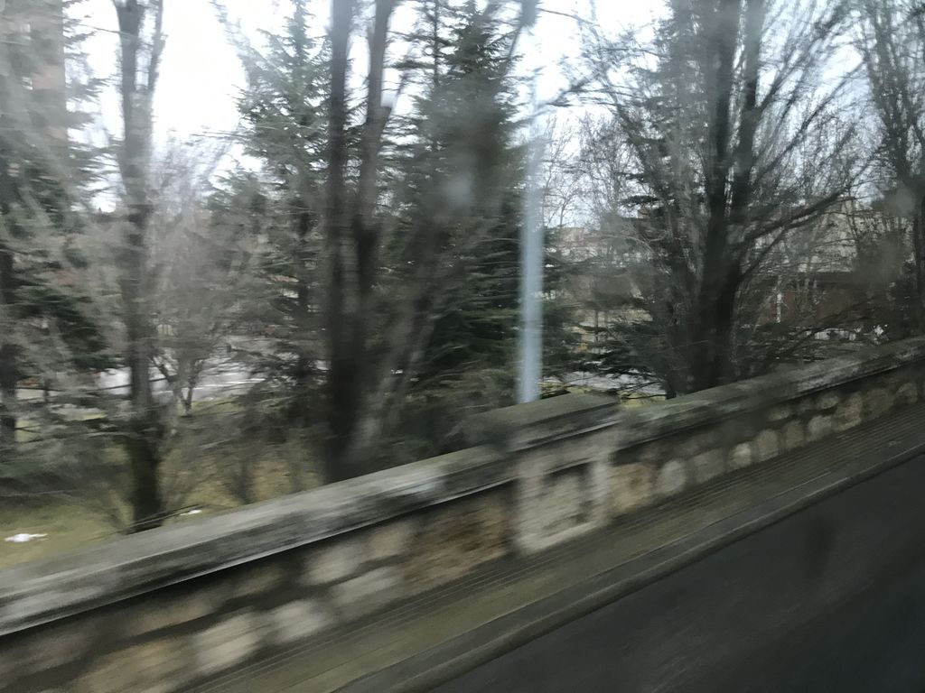 Norte