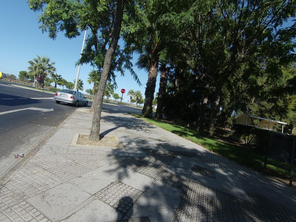 Mirador del Odiel