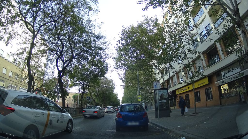 La Dehesa