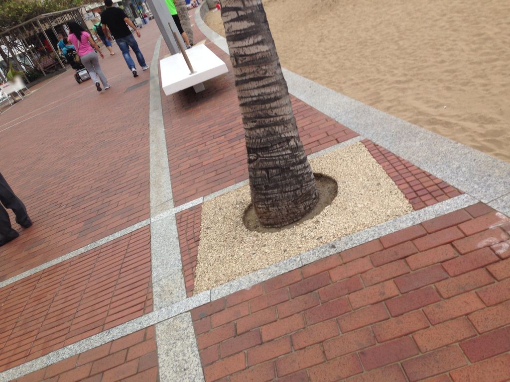 Paddy’s Anchor