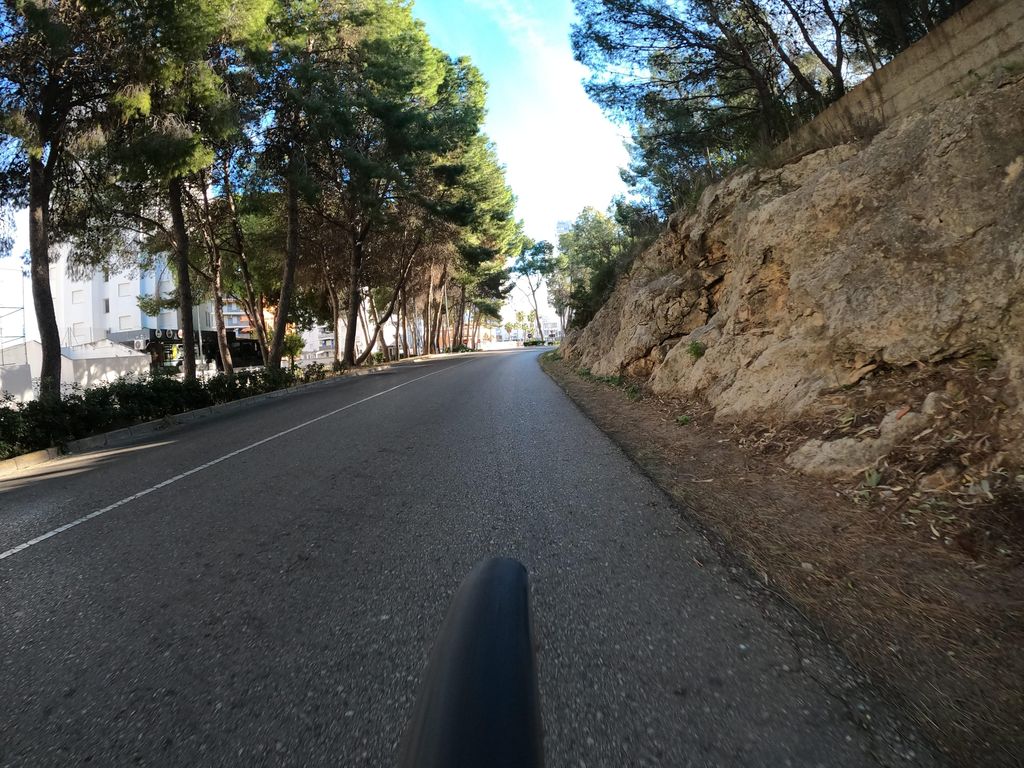 Alegria
