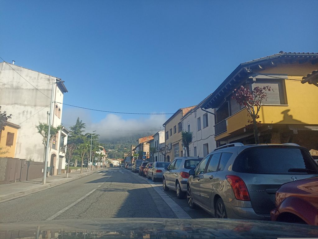El Taronger