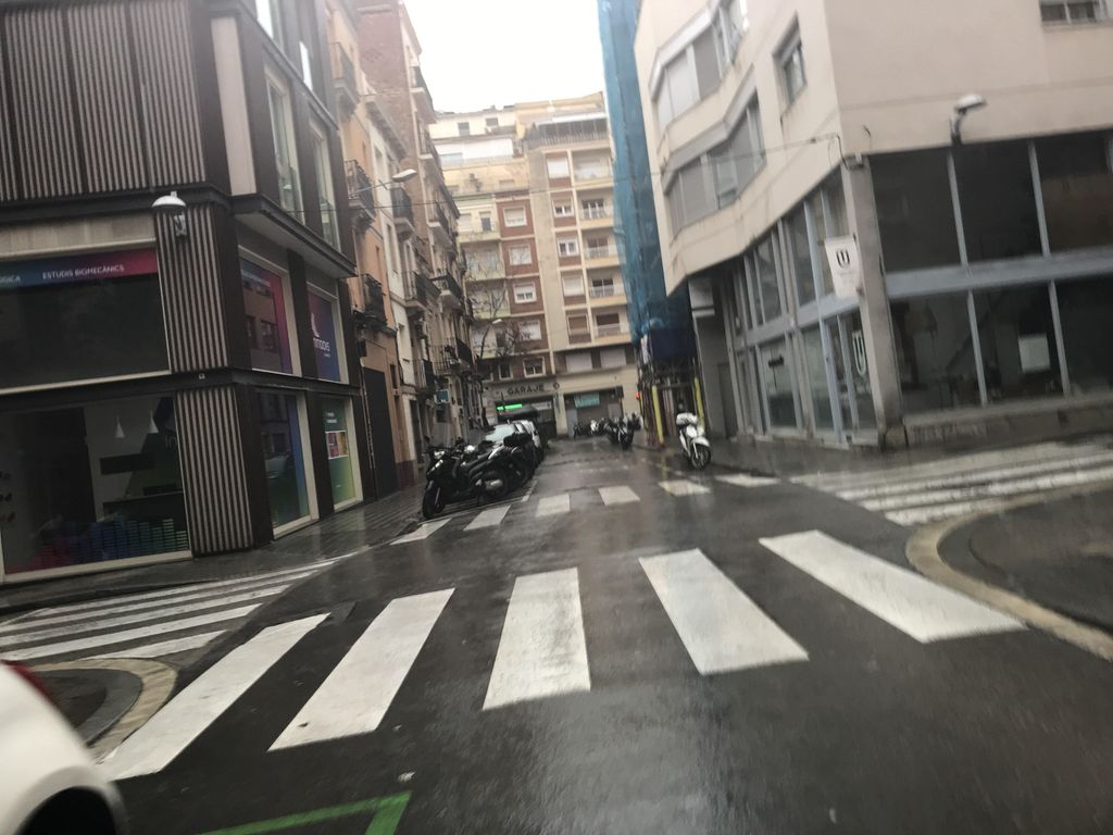 Barbanera