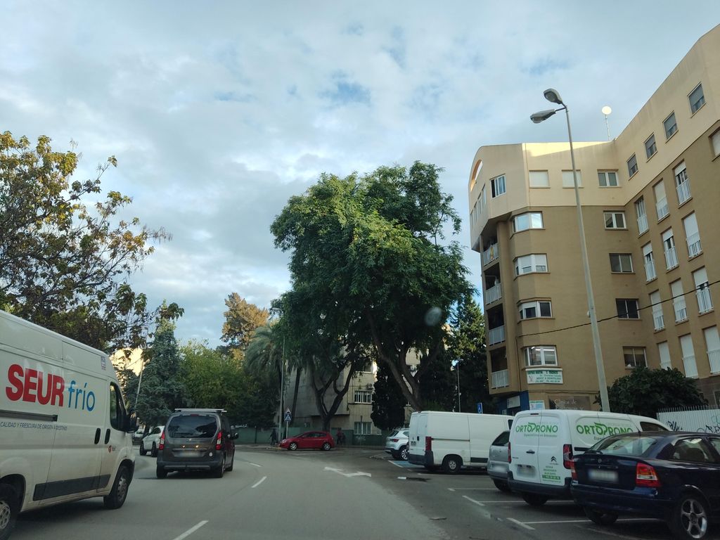 Madremía