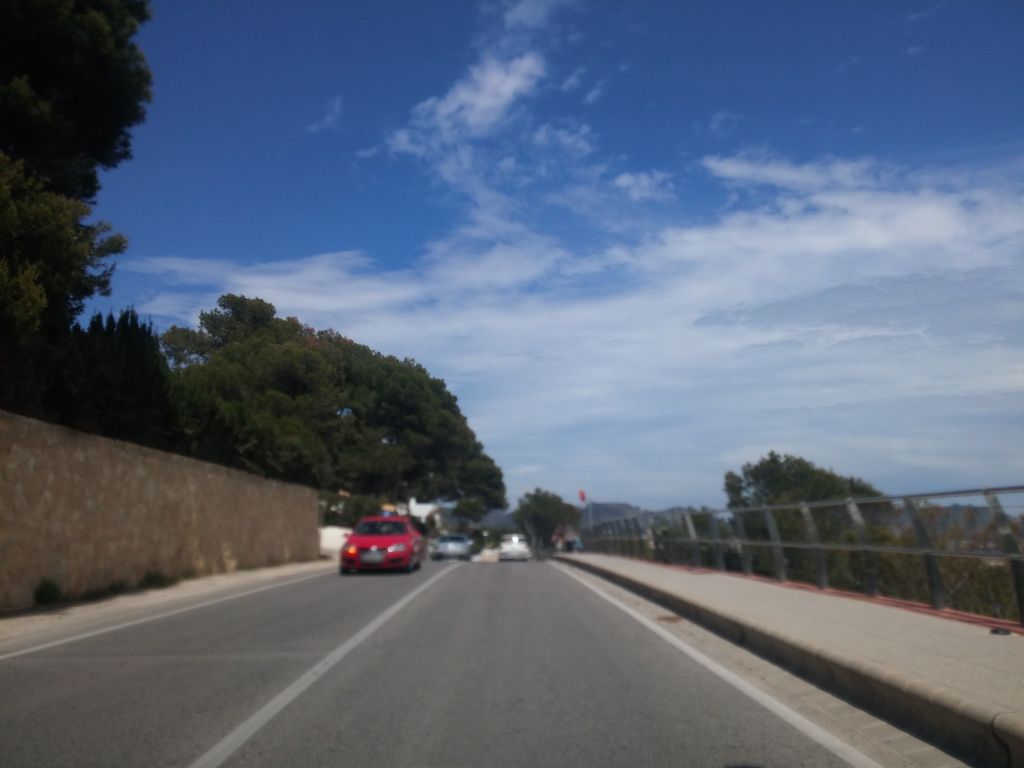 Algas L’Andragó