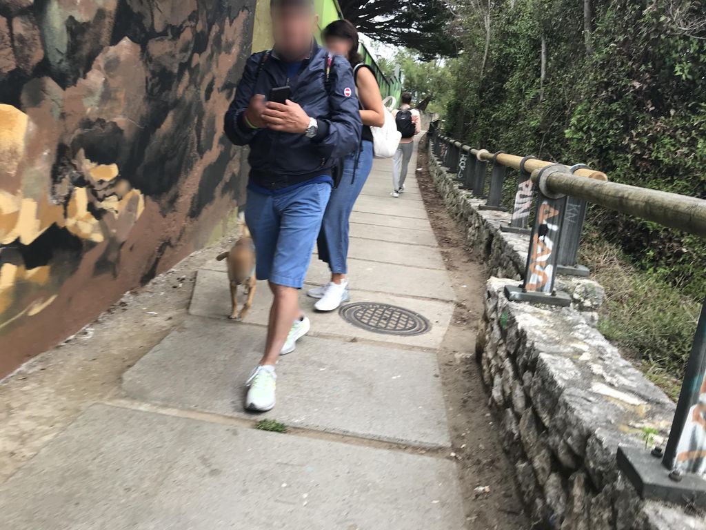 Cafetería Escuela de Turismo Altamira