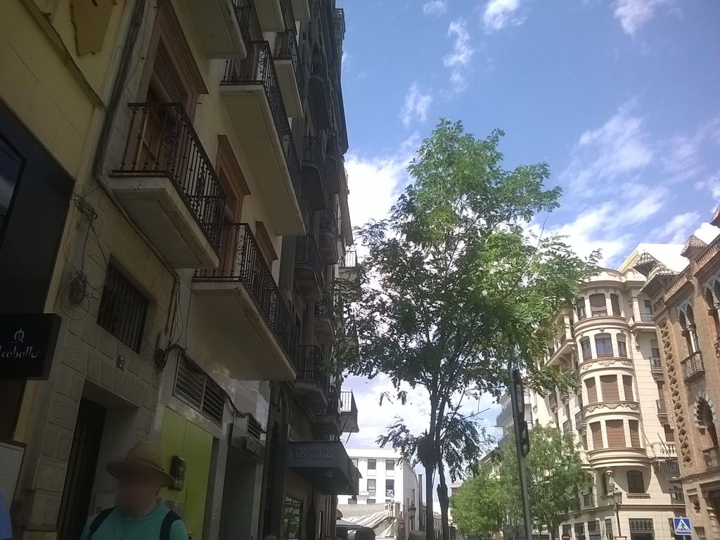 España café & copas