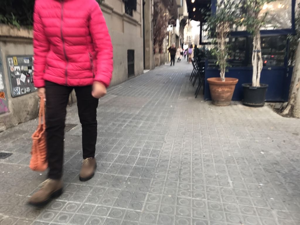 El Fornet