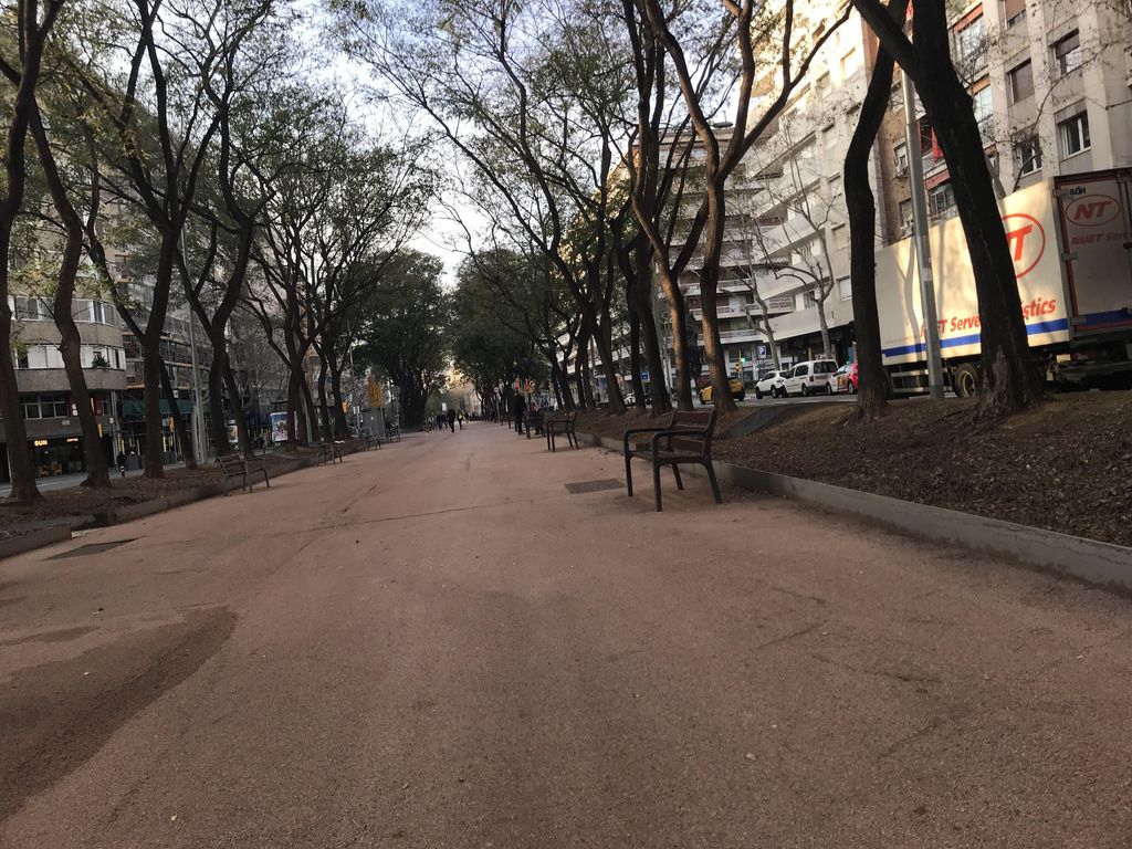 El cafè de les paraules