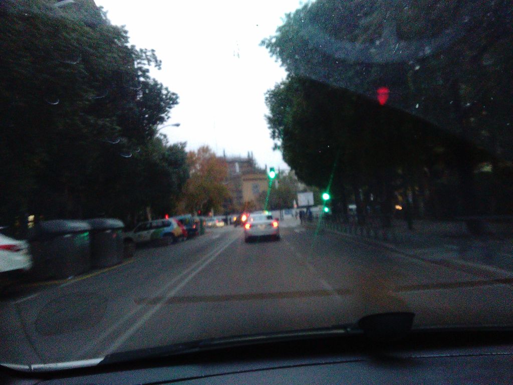 La Zalea