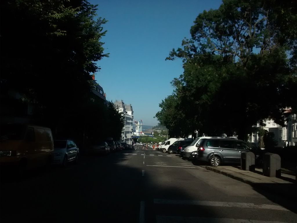 El Perro de San Roque