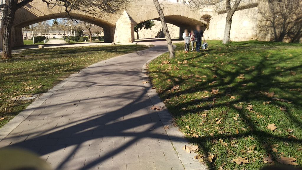 El menjar amb viracre