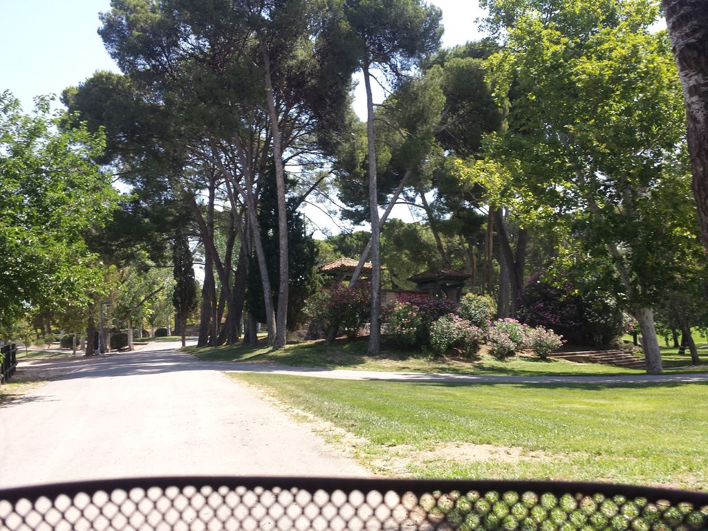 Terraza Rincón de Goya