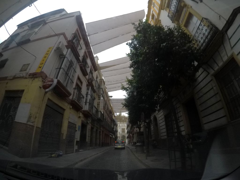 Café Picalagartos