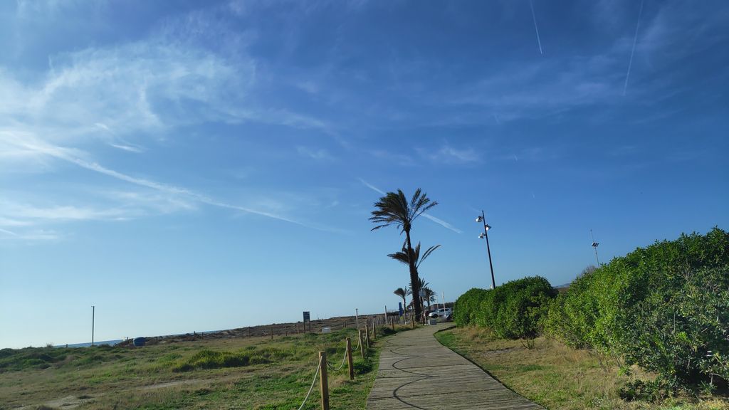El Calamar