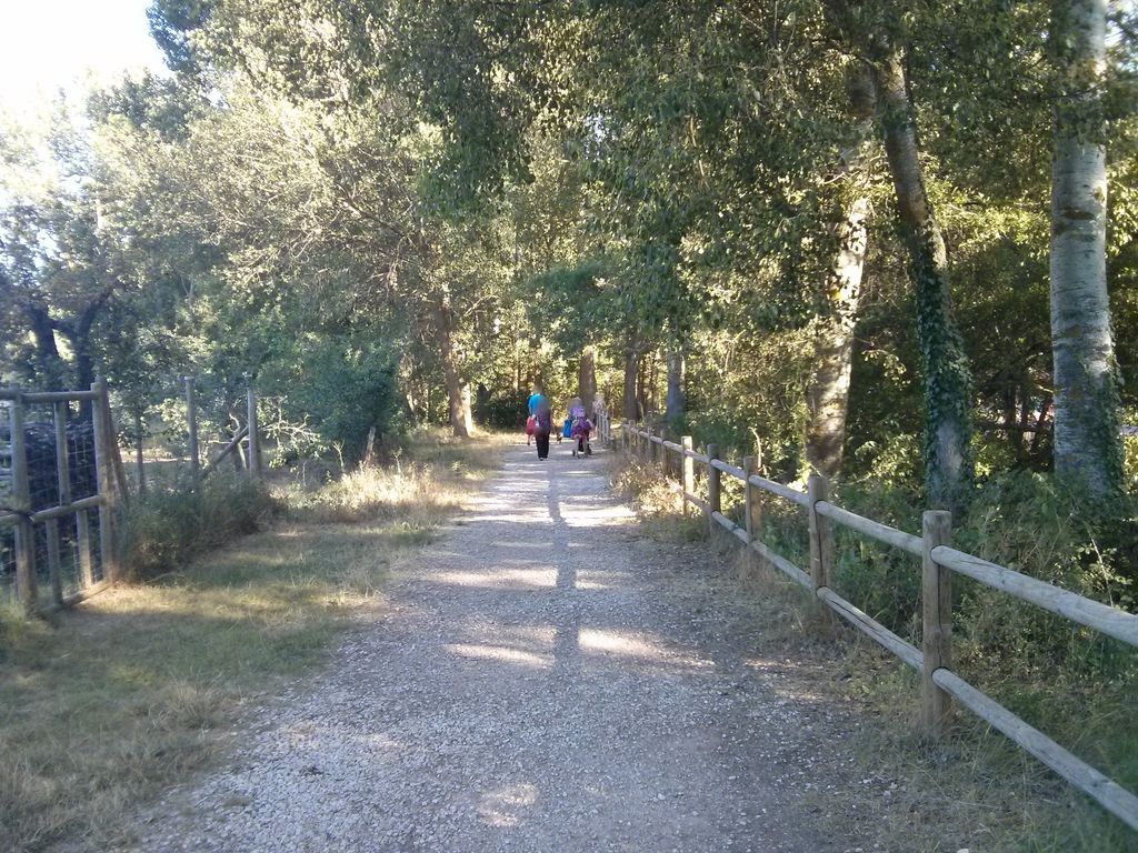 Piélago