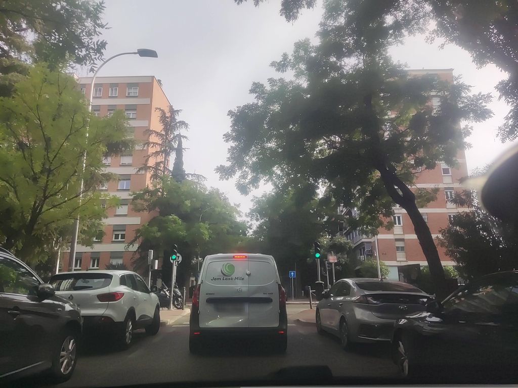 El Bosque
