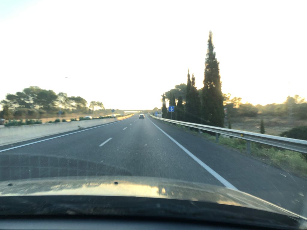 centre caní Son Gual
