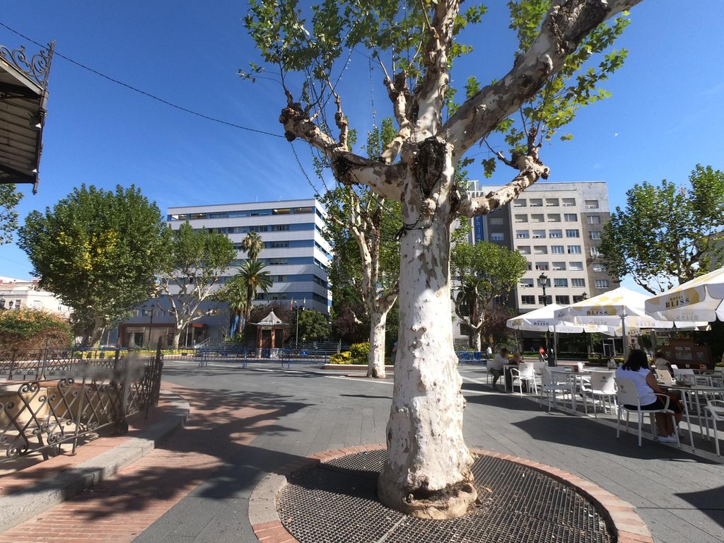 Kiosco San Francisco