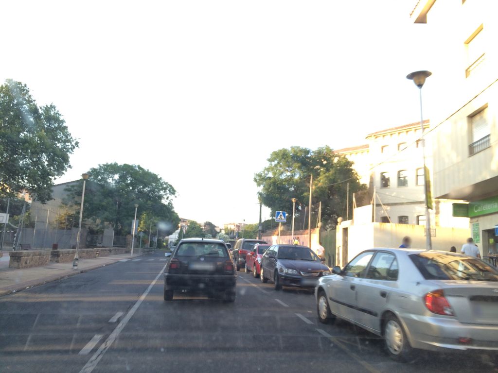 Pájaro Verde
